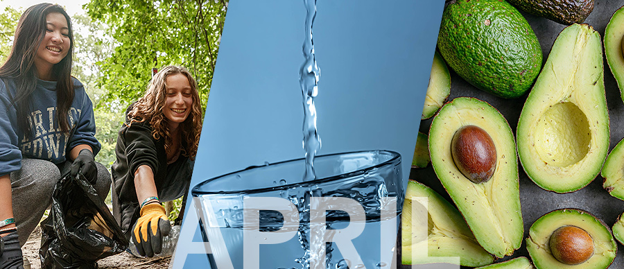 Winter Wellness 2026